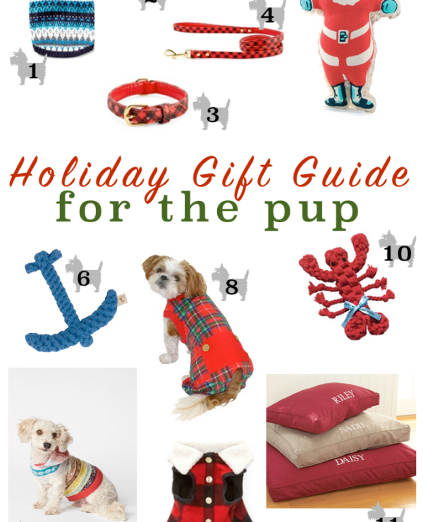 holiday-gift-guide-for-the-pet-2014